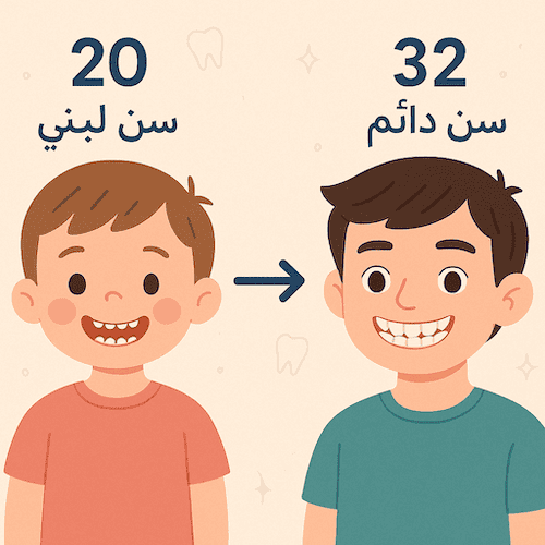 الفرق بين اللبنية و الدائمة